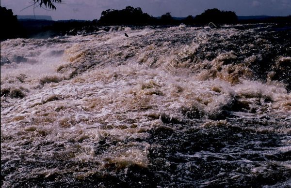 Top of Canaima Water Falls, Canaima
